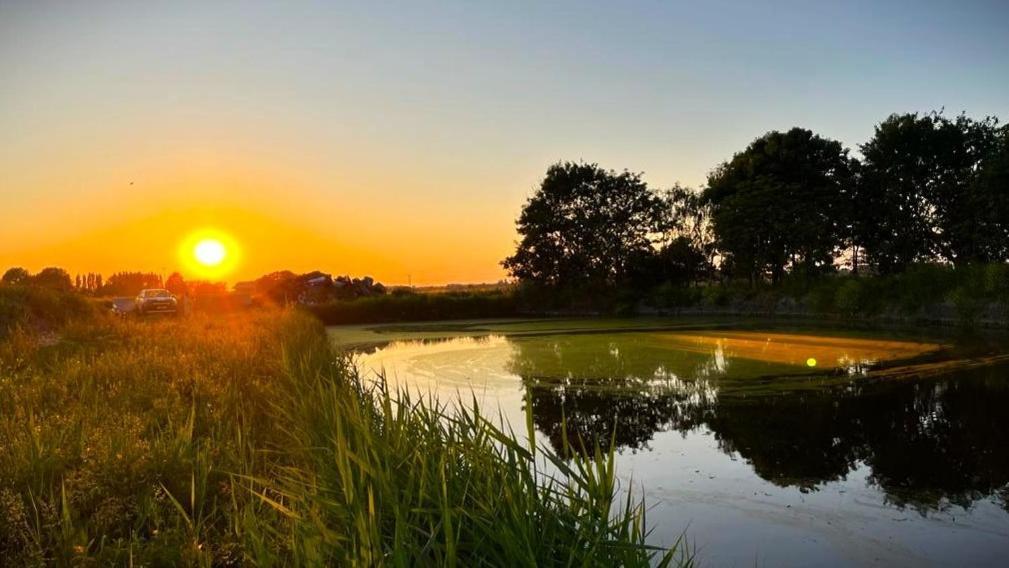 Boyce Fen Farm Retreat Glamping & Fishery Villa Wisbech Exteriör bild